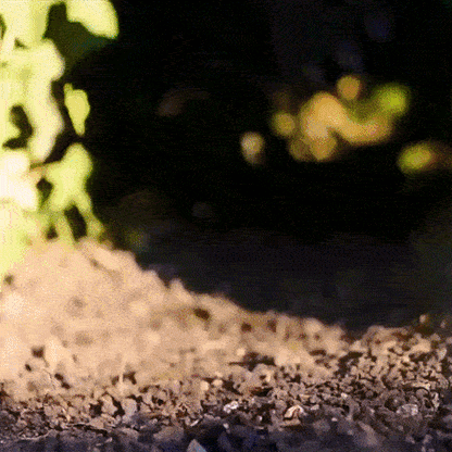 Guantes Pro® para Jardinería ¡Excava sin ensuciarte las manos!