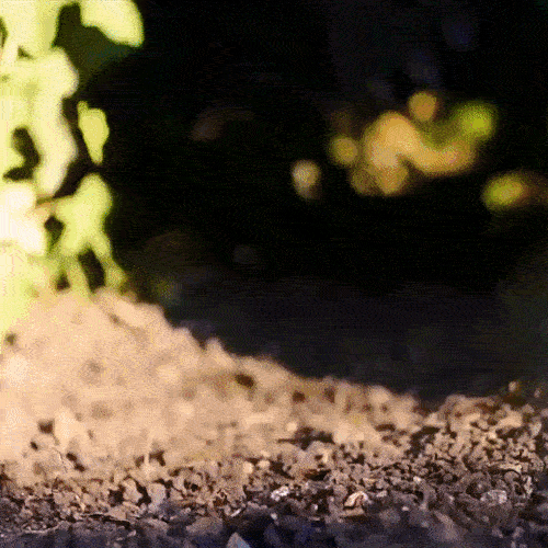 Guantes Pro® para Jardinería ¡Excava sin ensuciarte las manos!