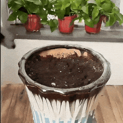 Guantes Pro® para Jardinería ¡Excava sin ensuciarte las manos!